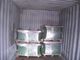De het hydrofiele Broodje/Rol van de Aluminiumfolie voor Huishoudenairconditioning 0.17mm * 100mm